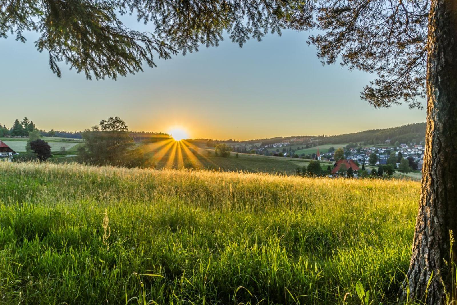 Landhaus Panoramablick Schonach im Schwarzwald Dış mekan fotoğraf