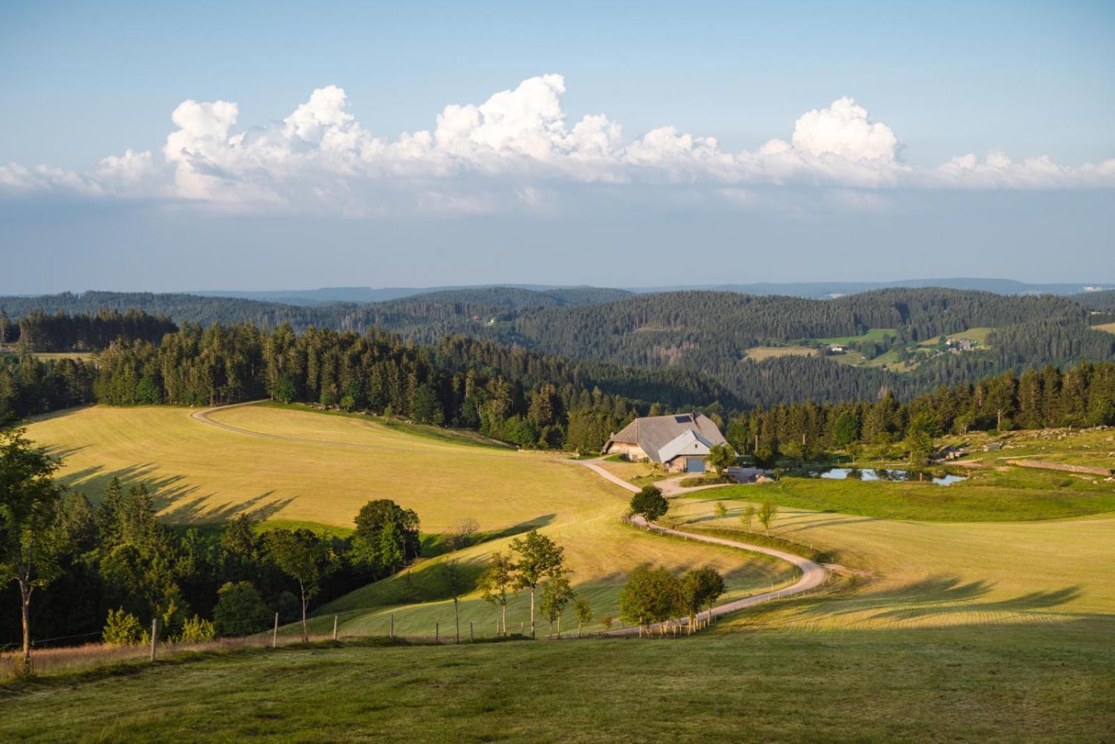 Landhaus Panoramablick Schonach im Schwarzwald Dış mekan fotoğraf