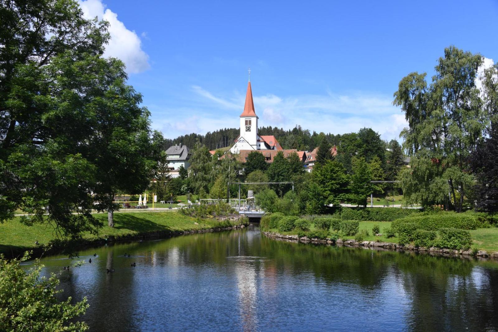 Landhaus Panoramablick Schonach im Schwarzwald Dış mekan fotoğraf