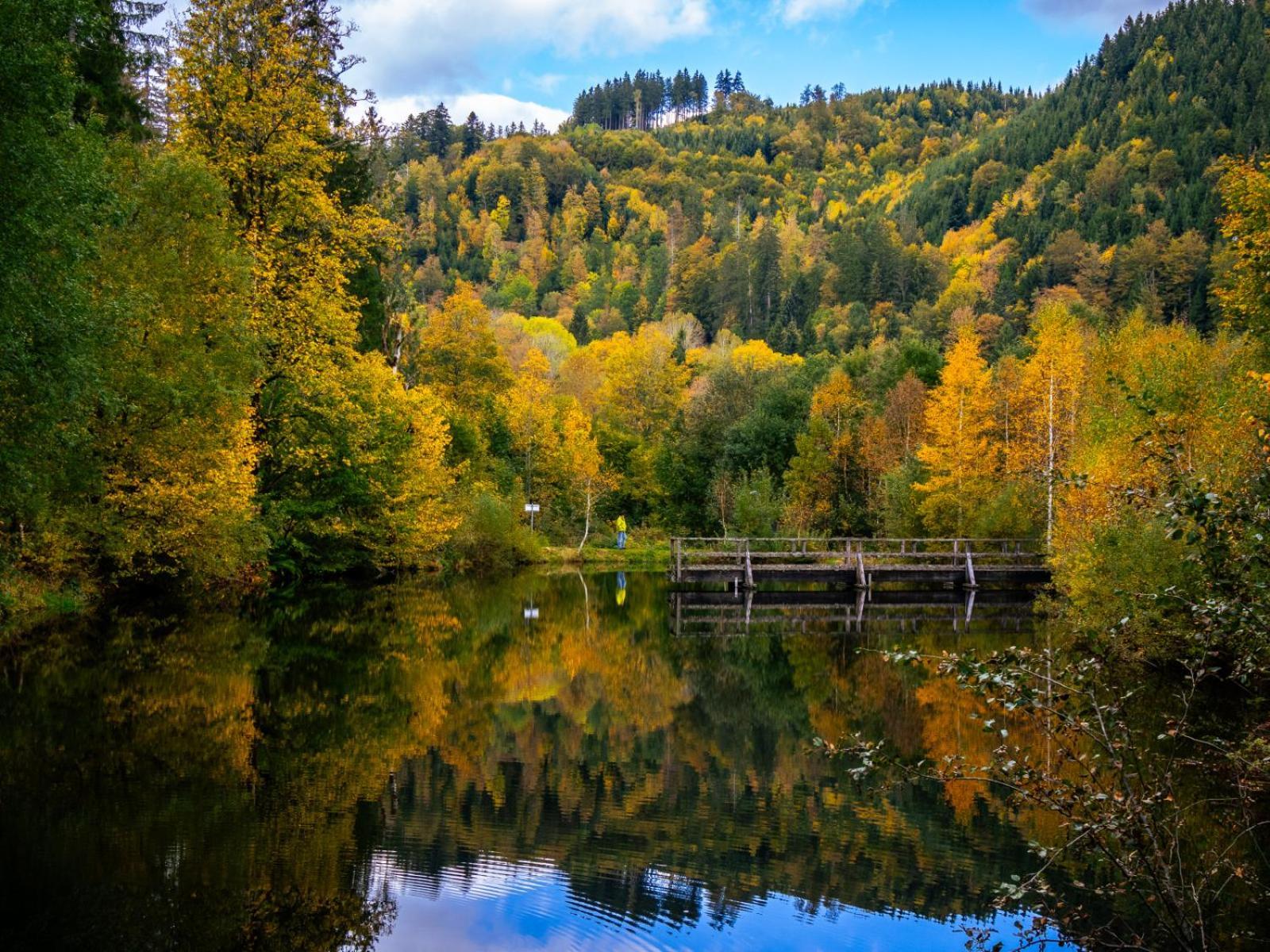 Landhaus Panoramablick Schonach im Schwarzwald Dış mekan fotoğraf