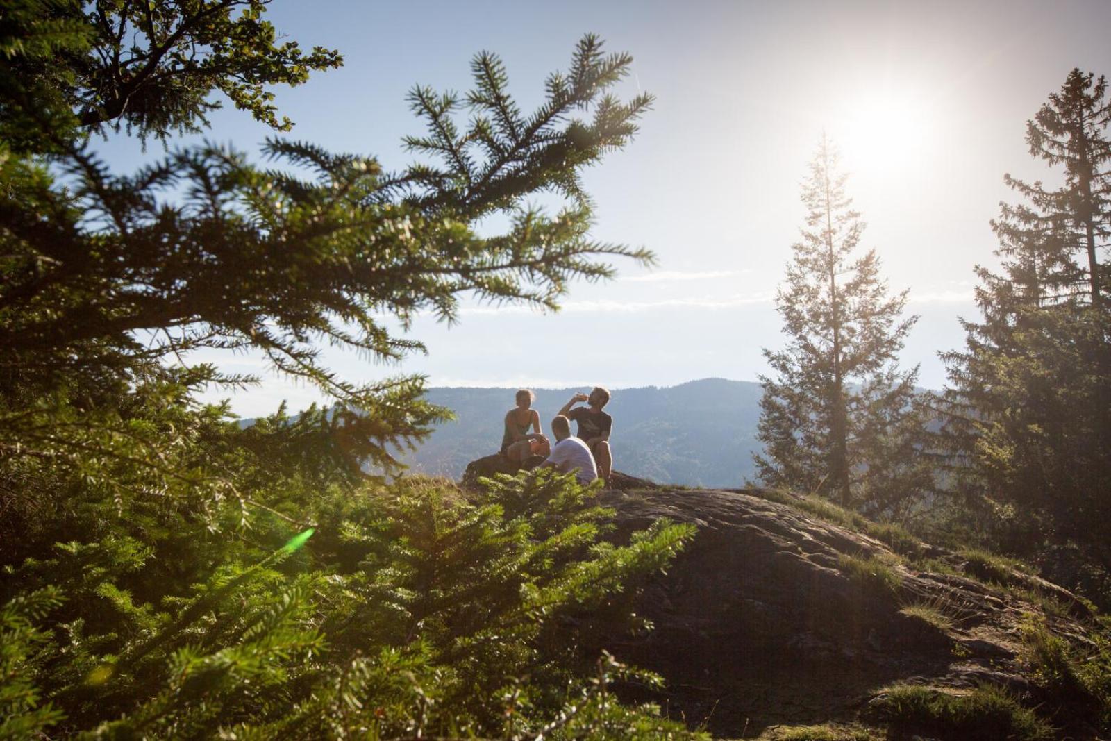 Landhaus Panoramablick Schonach im Schwarzwald Dış mekan fotoğraf